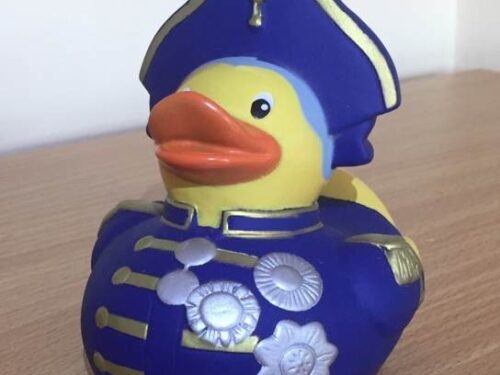 The Nelson Society Duck